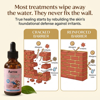 Beyond The Itch Premium Liquid Collagen