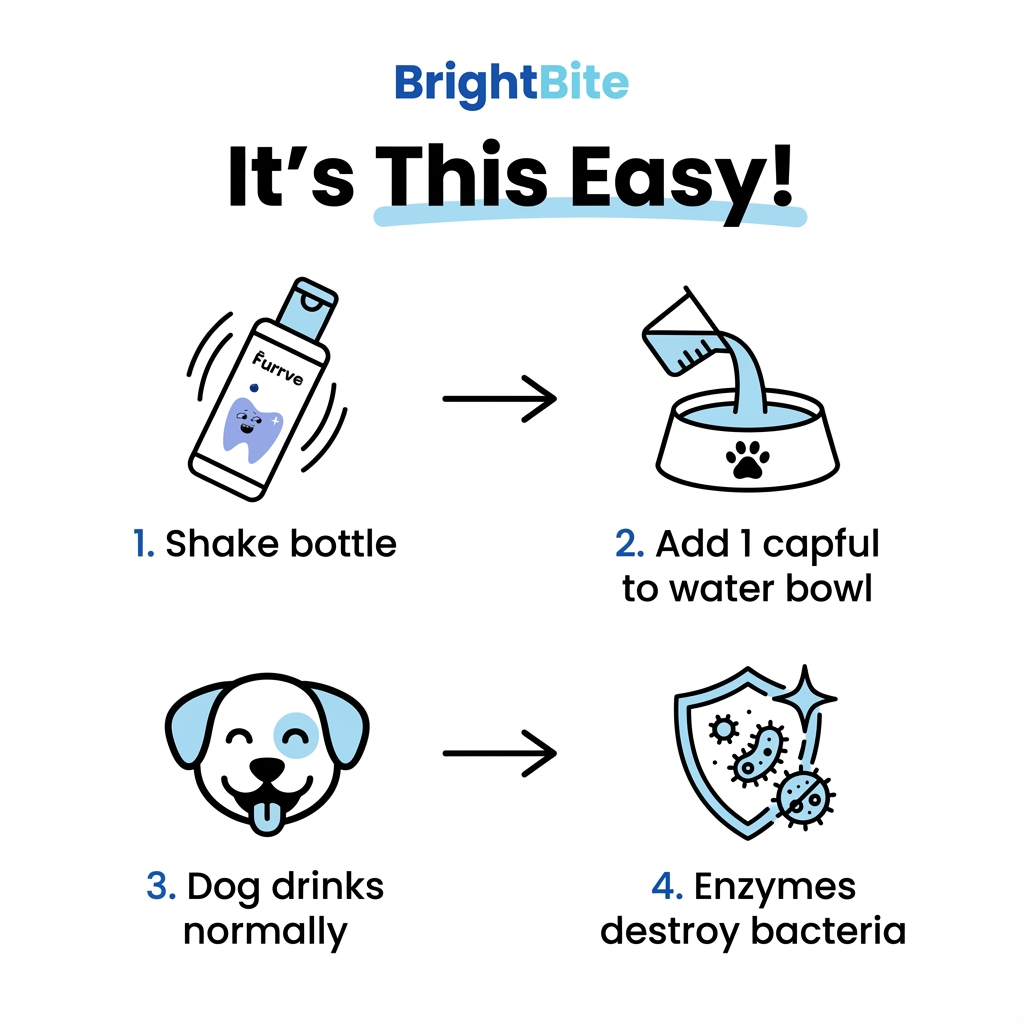 BrightBite