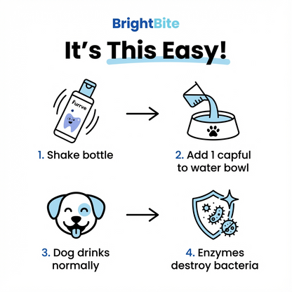 BrightBite