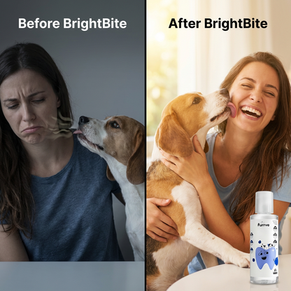 BrightBite
