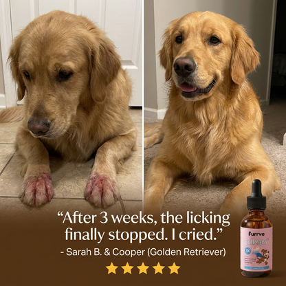 Beyond The Itch Premium Liquid Collagen