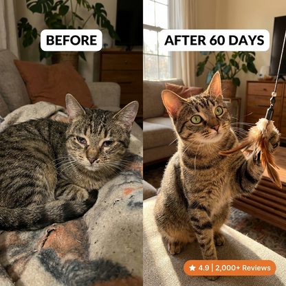 VitalDrops Liquid Defense System