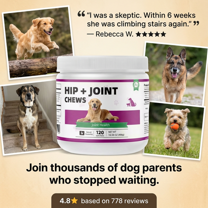 YoungerStride Hip & Joint Dog Chews