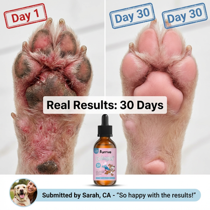 BarrierBlend Liquid Collagen