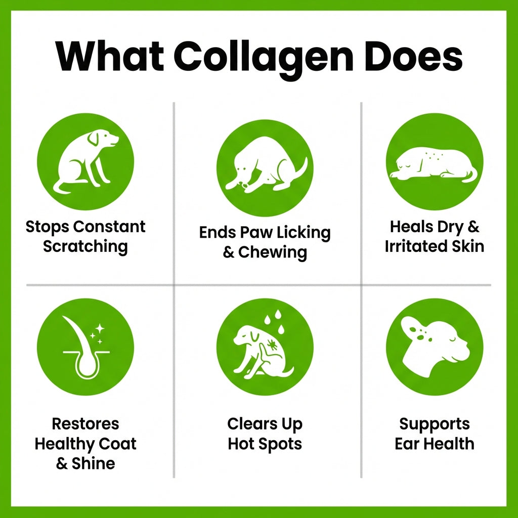 BarrierBlend Liquid Collagen