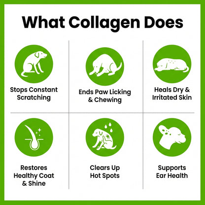 BarrierBlend Liquid Collagen