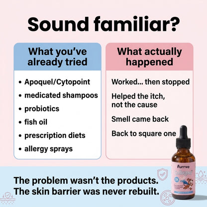 Beyond The Itch Premium Liquid Collagen